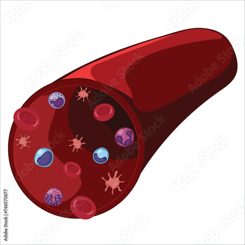 Blood cells composition artery illustration