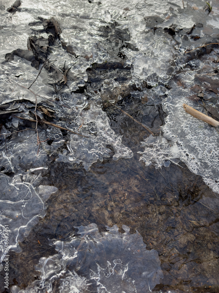 thin transparent ice on a puddle in the park on a spring day, foliage through the ice, dry grass through ice thin transparent ice on a puddle in the park on a spring day, foliage through the ice, dry grass through ice