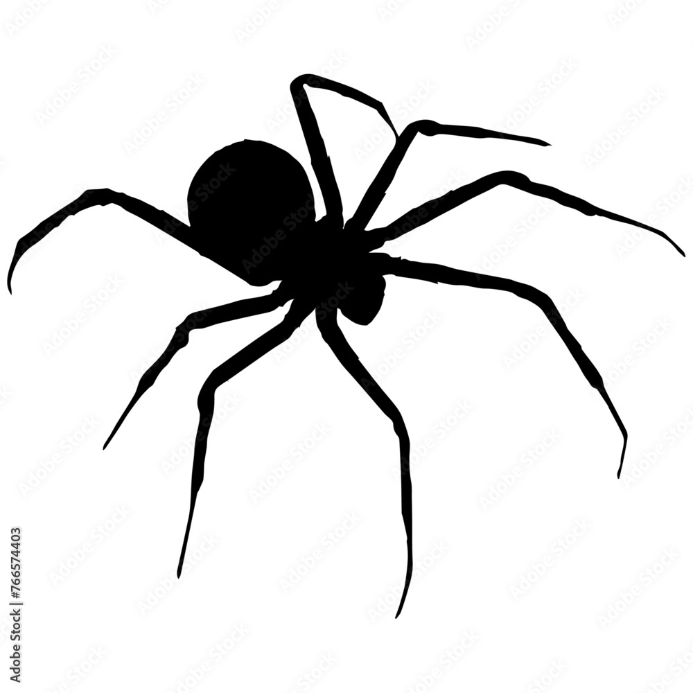 Spider, large and black. Spider silhouette. Spider, large and black. Spider silhouette.