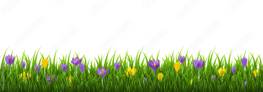 Spring Border And Grass With Flowers - obrazy, fototapety, plakaty 