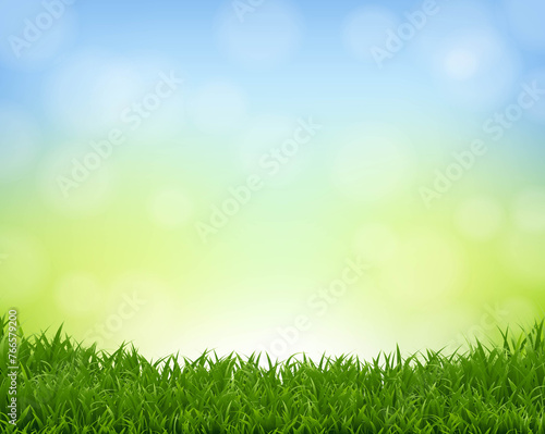 Spring Banner Nature Background And Grass Border
