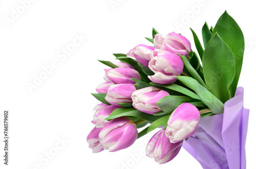 Bouquet of purple tulips isolated on white background © Oleksandrum