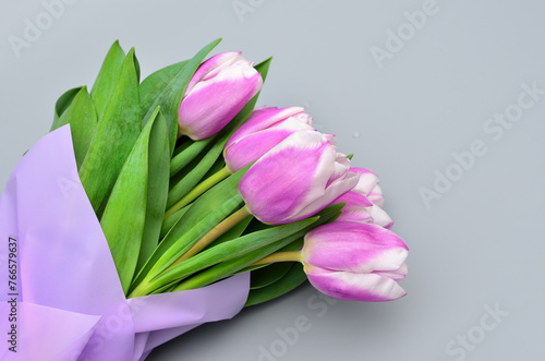 Bouquet of purple tulips on a gray background