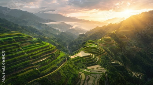 Bird's-eye view of serene Banaue rice terraces at dawn, with tiers bathed in golden morning light