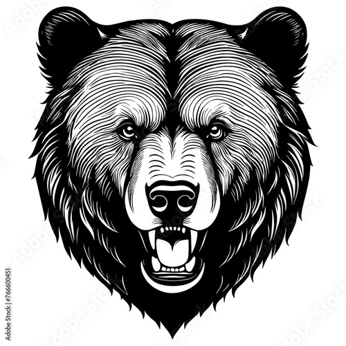 Angry bear grizzly head, vector illustration, logo head emblem. bear logo, roaring bear