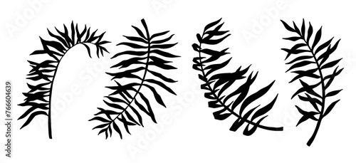 Set of silhouettes of tropical leaves.Vector graphics.