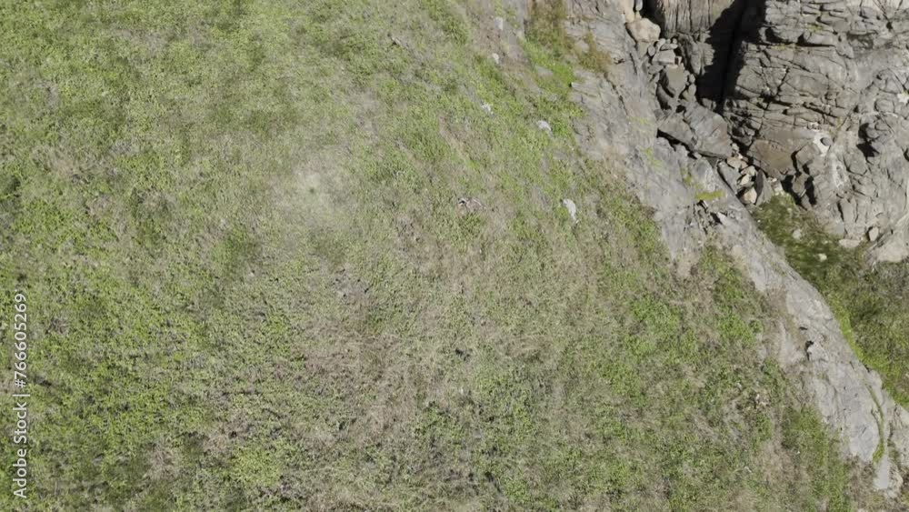 Drone flies forward with camera pointing down over grass, then rock, and finally the sea Drone flies forward with camera pointing down over grass, then rock, and finally the sea