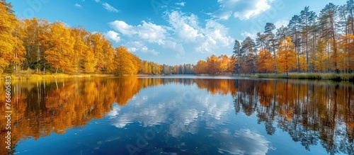 A large body of water surrounded by dense trees, creating a natural and green environment. photo