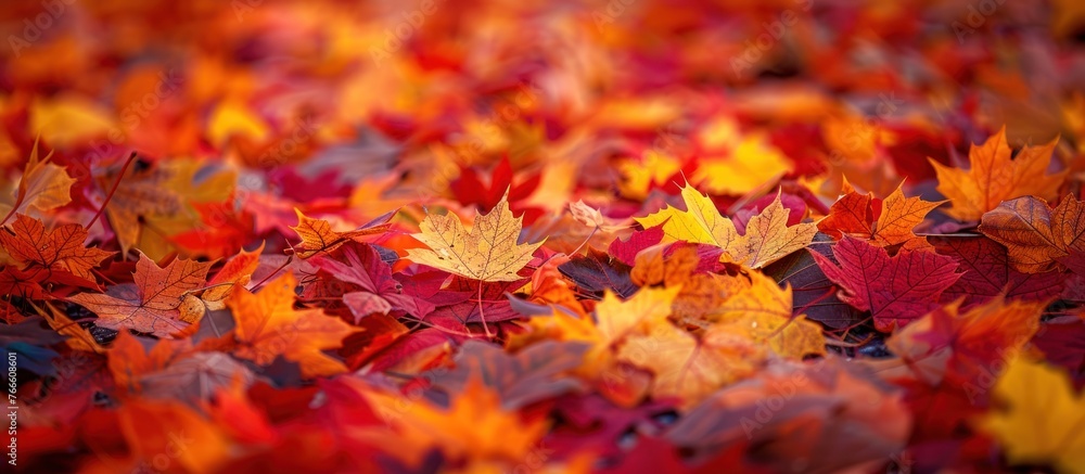 On the ground, a bunch of fallen leaves are scattered, forming a beautiful array of vibrant autumn colors. On the ground, a bunch of fallen leaves are scattered, forming a beautiful array of vibrant autumn colors.