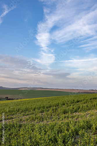 A rural South Downs view on a sunny spring evening