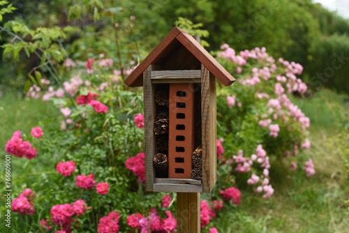 Wooden insect house in the park