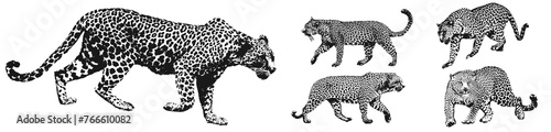 leopard silhouette illustration