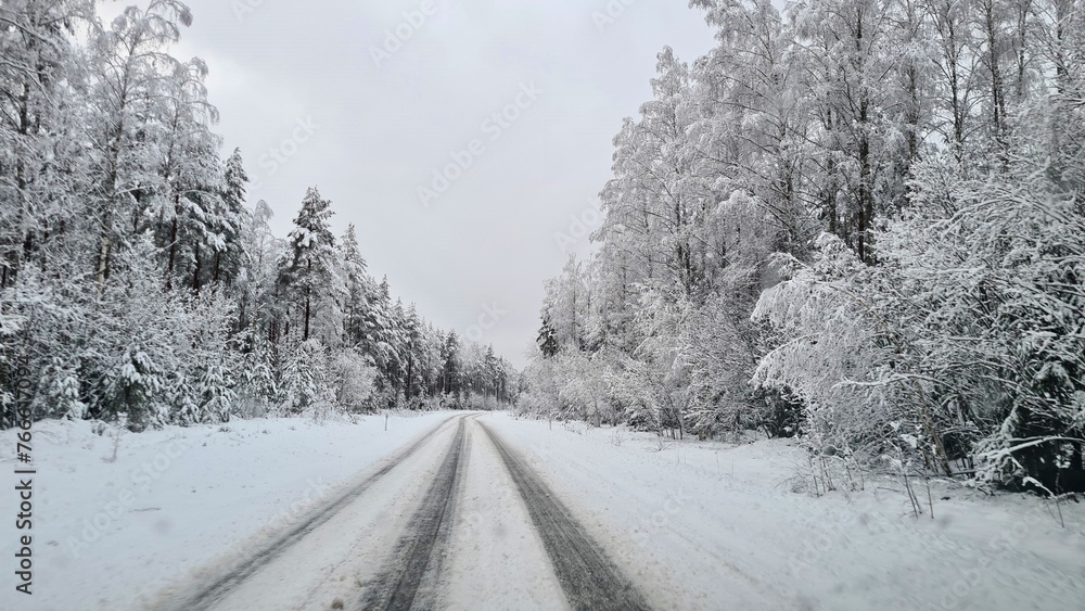 Fototapeta premium Narrow country road going into the distance among snow-covered forest