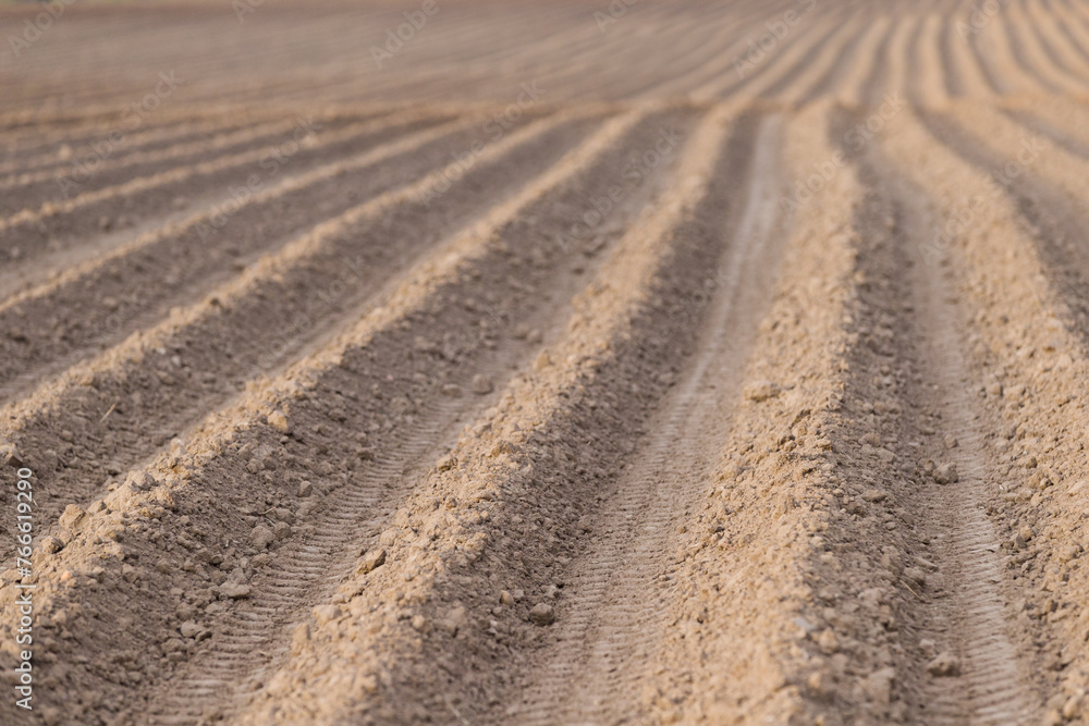 A large plowed agricultural field. The endless ranks of the beds are ready for the growth of the new crop A large plowed agricultural field. The endless ranks of the beds are ready for the growth of the new crop