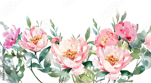 Watercolor stripe composition of pink peonies on white background