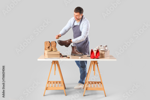 Male shoemaker brushing boo...
