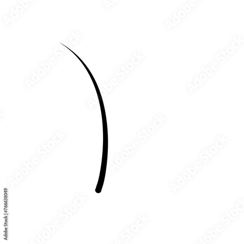 Illustration of Hair Strands. Black hair