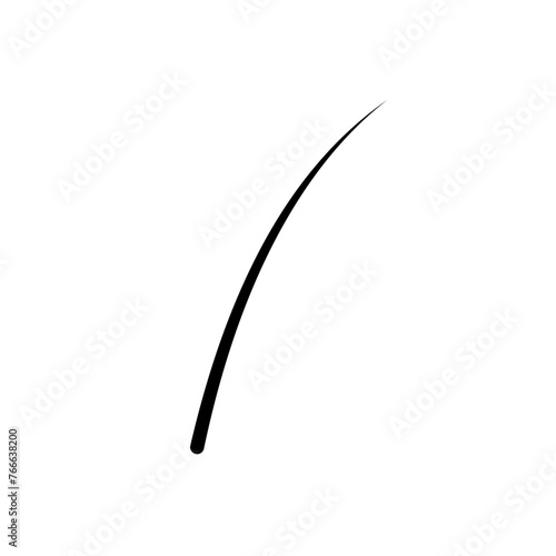 Illustration of Hair Strands. Black hair