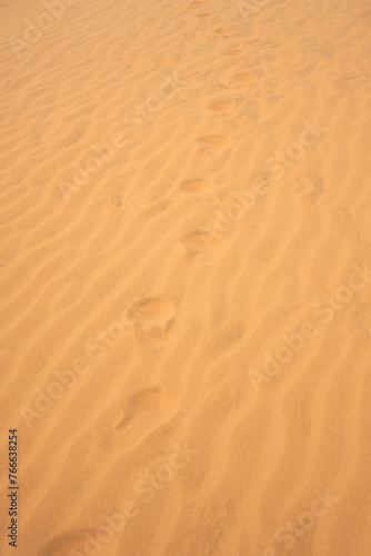 Old footprints in the sand in the desert. © Arthur