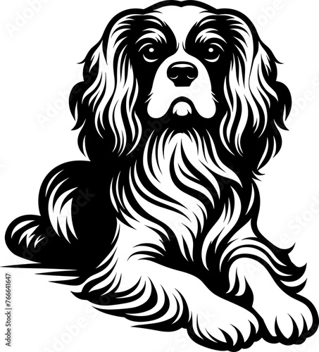 Cavalier King Charles Spaniel Dog