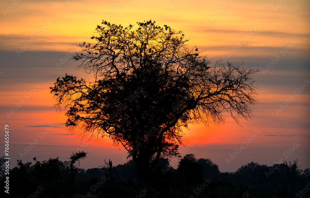 Sunrise in Botswana, Africa