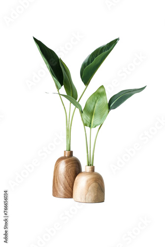 Green foliage with wooden vases home decor piece with tob. transparent background photo