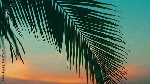 The image is a close-up of a palm leaf against a blurred background of a sunset.