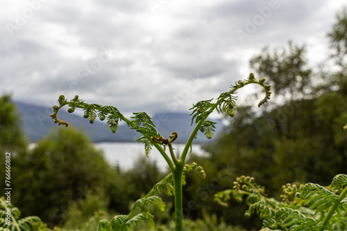 Views around Gairloch Scottish Highlands photo