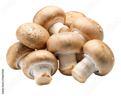 Pile of champignon mushrooms isolated on transparent background. Vegetarian food.