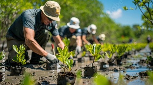 A coastal mangrove restoration project protecting against sea-level rise and storing carbon photo