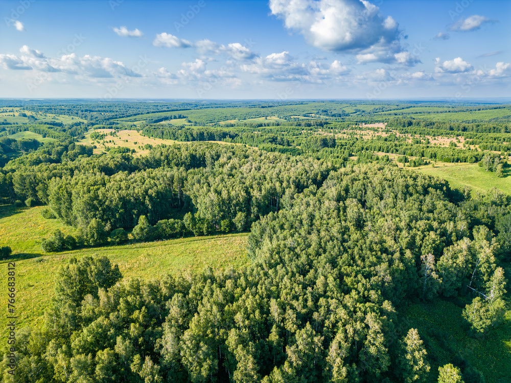 Observing animals and their migrations in their natural habitat using drones, aerial view