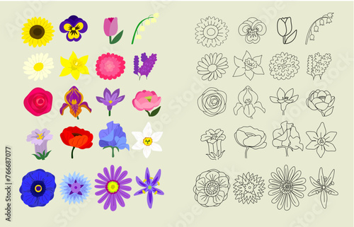 Fleur du printemps _collection couleurs et noir et blanc