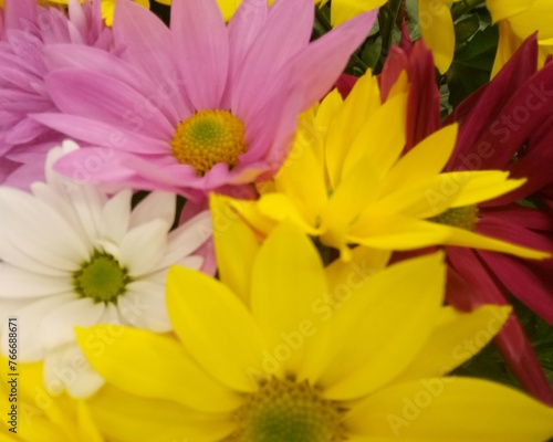 bouquet of yellow flowers