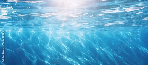 Capturing the moment when sunlight filters through the water surface, creating beautiful patterns below