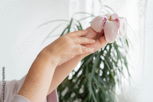 close-up mature female hands holding pink magnolia flower, symbolizing beauty, Natural cosmetic for hand skin care, femininity and connection to nature, aging gracefully, feminine touch