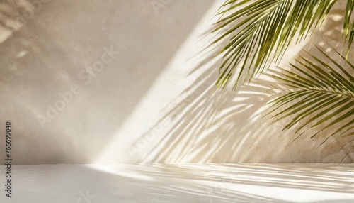 concrete texture with coconut palm leaves shadow overlay on white wall cement with abstract light sunbeam from window on floor empty studio background display for product presentation