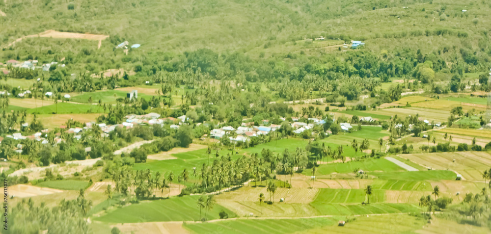 Fototapeta premium aerial view of rice fields