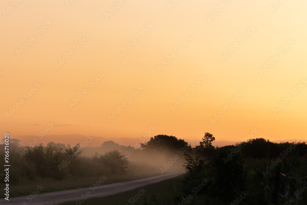 sunset in agriculture field barley corn soybeans or sorghum with fog or ground in suspension sunset in agriculture field barley corn soybeans or sorghum with fog or ground in suspension