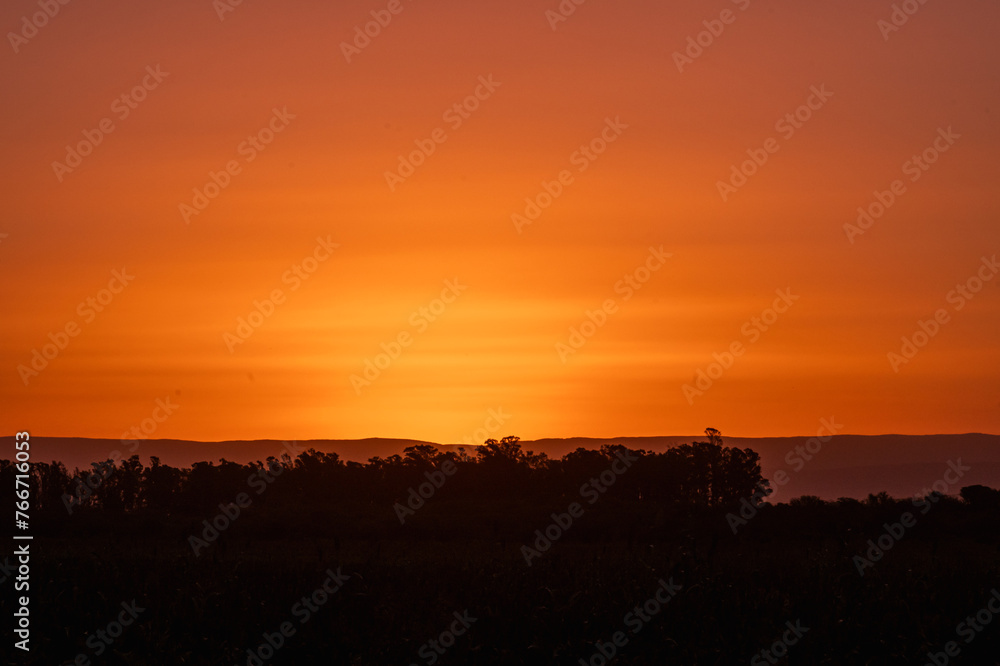 sunset in agriculture field barley corn soybeans or sorghum with fog or ground in suspension