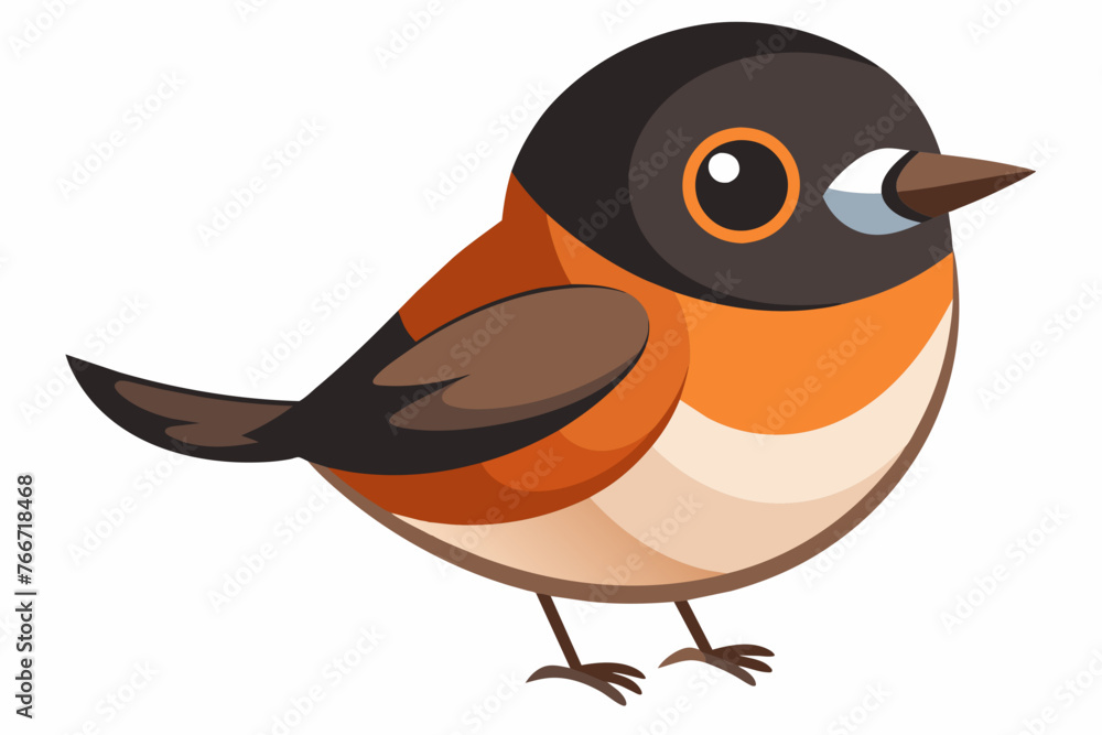 stonechat bird vector illustration stonechat bird vector illustration