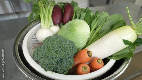洗いたての新鮮な野菜【fresh vegetables】