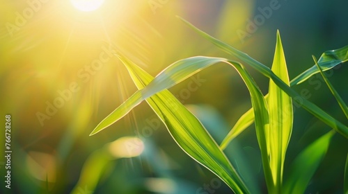 A breathtaking close-up of a sun-kissed blade of grass AI generated illustration