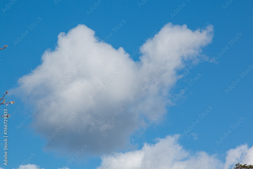 Fototapeta premium Cloud shaped like a duck