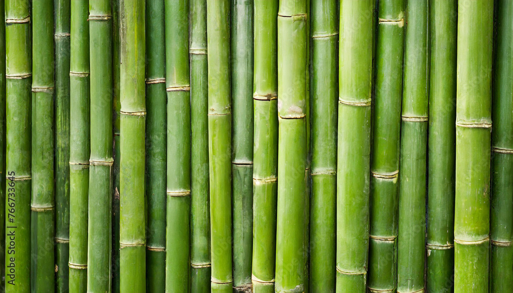 green bamboo fence, a symbol of nature's tranquility and resilience green bamboo fence, a symbol of nature's tranquility and resilience