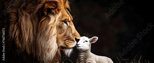 Profile of a lion and lamb isolated on a black background, representing the contrast and harmony between predator and prey.