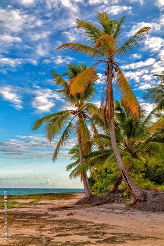 View of nice tropical beach with palms around. Holiday and vacation concept. Tropical beach.