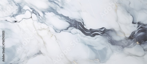 A detailed view of a marble texture in black and white, resembling liquid flowing through a frozen landscape, like a tree on a slope reaching towards the cloudy sky