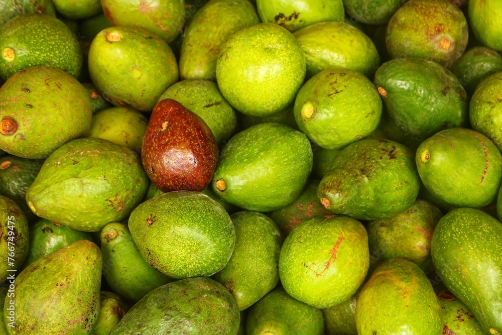 Avocados have many benefits and are sold in many countries Avocados have many benefits and are sold in many countries