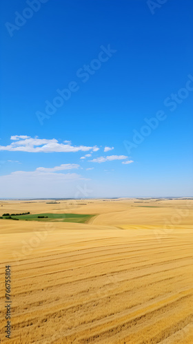 Lush Agricultural Fields Under Cerulean Sky: Testament of Farming Dedication and Potential Harvest Goldmine