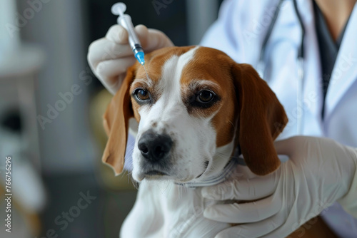 A dog is vaccinated with a Veterinarian Providing Care to a Dog. Generative ai